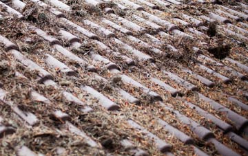 Bowbridge roof cleaning companies